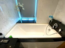 Lush On Holland Hill (D10), Condominium #549305611
